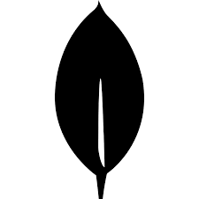 CSS icon